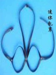�Ԍ�����ˌW(xu��)��(x��)�_�W(w��ng)������Ԍ��W(w��ng)���(n��i)�¾W(w��ng)������A(y��)�[�D