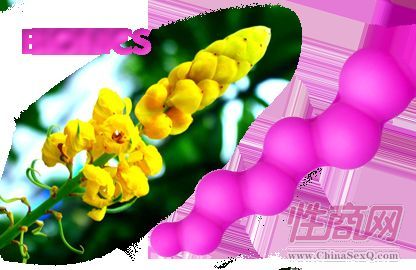 ����Ұ��(zh��n) Ů�Ժ�ͥ�ݼ���Ʒ���l(f��) �\(ch��ng)�д���4