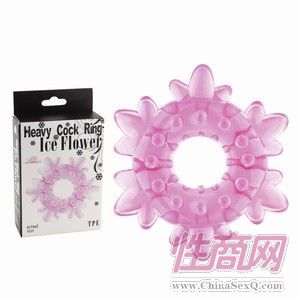 ��(qi��ng)���̼��h(hu��n)-ѩ��(11002)2
