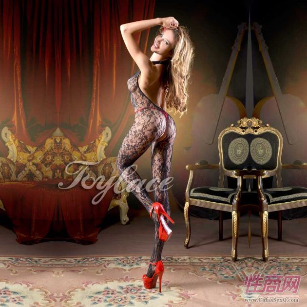 ��ɫ�ٽzToylace R6299 �Ըл����Ի��������B���W(w��ng)��2