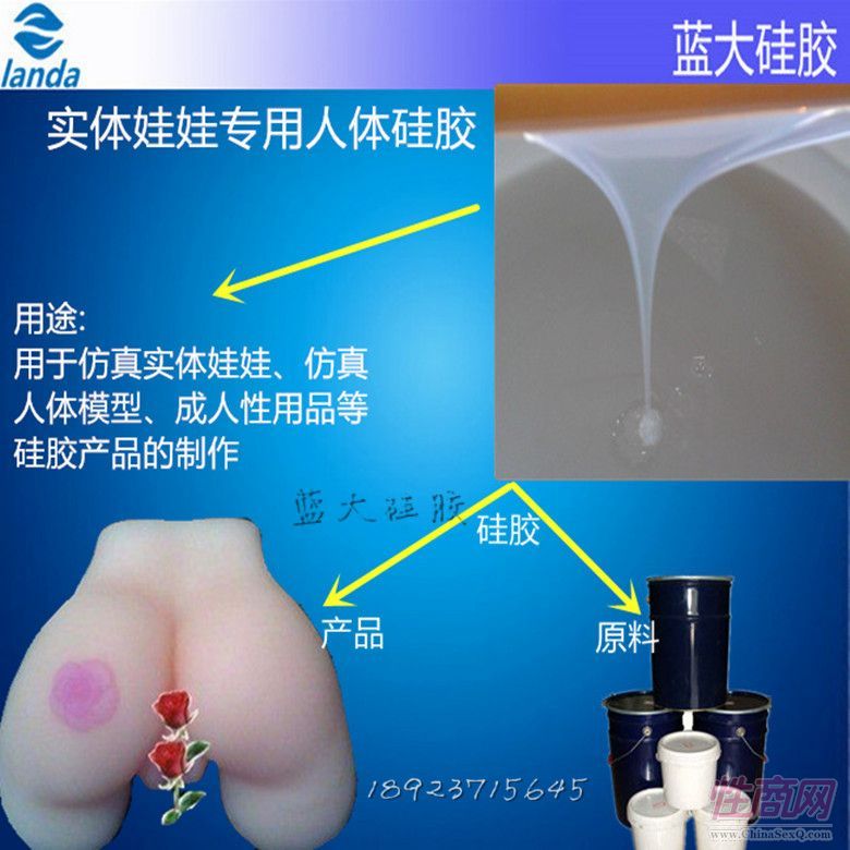 ���挍�w���ތ������w���z ʳƷ���o�������z