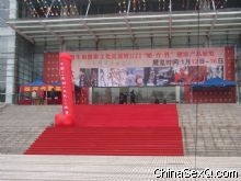 2011���T���Ļ���(ji��)����չ���_Ļ�DƬ���