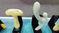 2016���׌ÏB�T����չ�_Ļ��(d��ng)�쌍�r����DƬ13