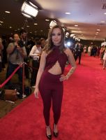 2017����(gu��)XBIZ���ˊʘ��C��(ji��ng)��Y�t̺��3�DƬ9