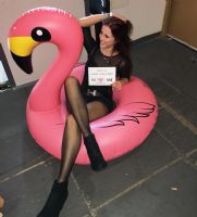 2017�����ֳ���չչ���(b��o)��--�F(xi��n)�������DƬ8