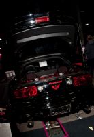 2011������������չeXXXotica��܇��Ů�DƬ24