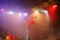 2008�Ĵ����������R�³���չSexpo���ʱ��݈DƬ1