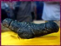 �������p��Ů����(ch��ng)2007�׌��������Ļ���(ji��)�DƬ38