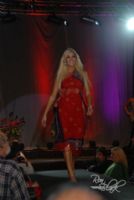 2008���ô���������չETWS���ʱ��݈DƬ25
