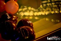 18��������չ����ɫ�Ɍ� (45)
