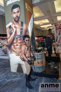��ɼ������չANME����չ��I(y��) (46)