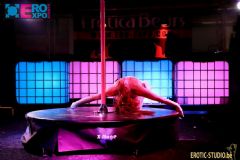 �����r(sh��)���س���չ-䓹������ (25)