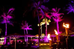 �Ĵ���������չadultex-�����Ɍ�(du��) (1)