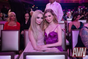 ��˹�S��˹����չAVN��(ji��ng)?l��)C��(ji��ng)��Y  (17)