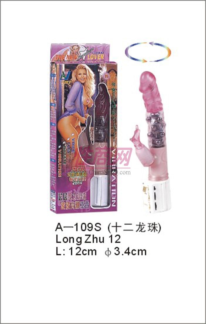 A��109S&nbsp;��ʮ������)